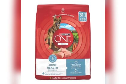 Best Dog Food for Joint Health