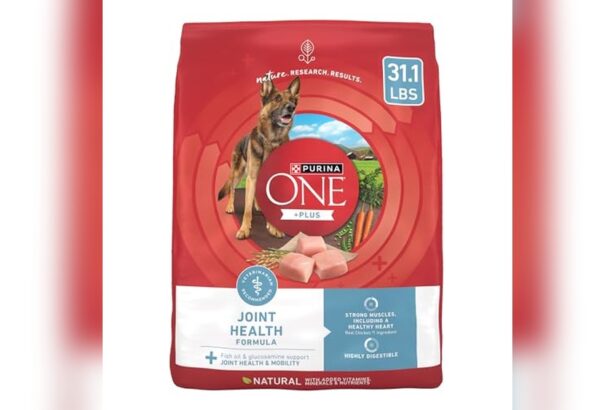 Best Dog Food for Joint Health