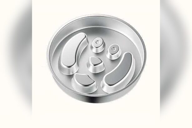 Best Dog Food for Keeshond