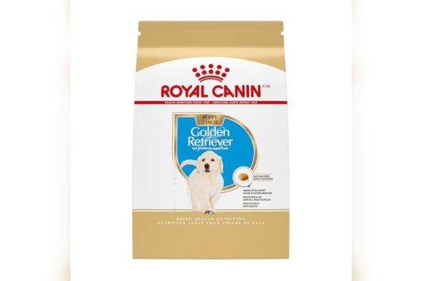 Best Dog Food for Labradoodle Puppy