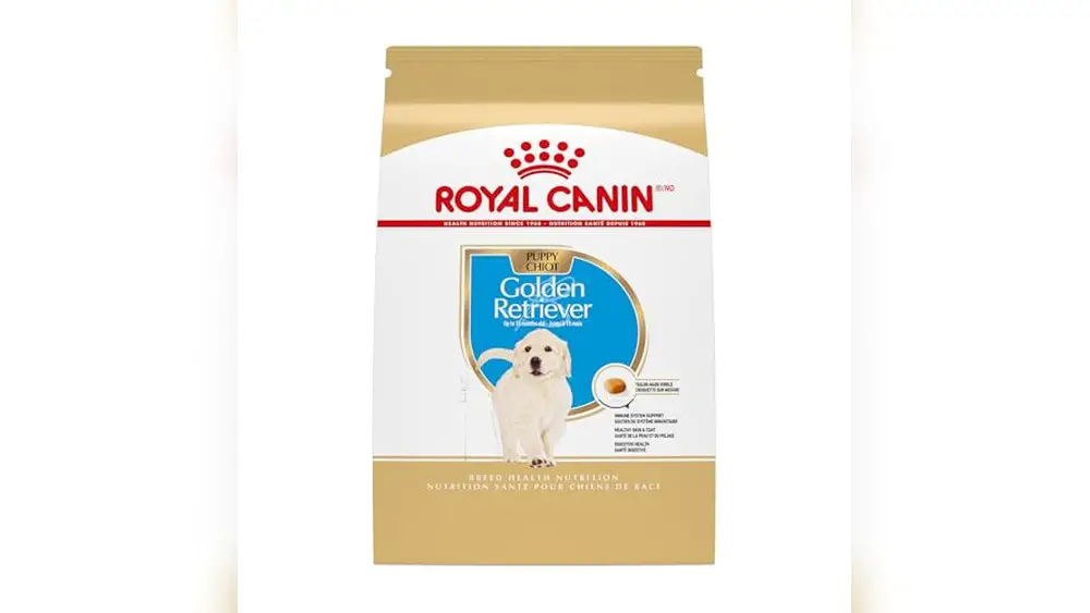 Best Dog Food for Labradoodle Puppy