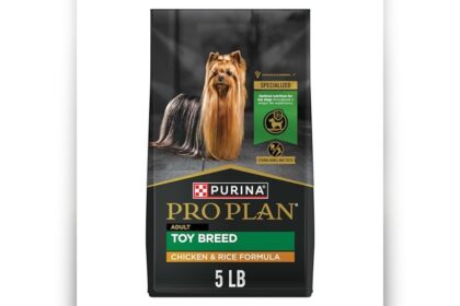 Best Dog Food for Maltipoo Adult