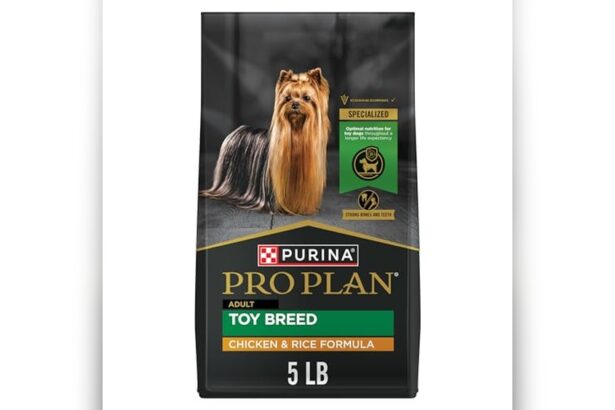 Best Dog Food for Maltipoo Adult