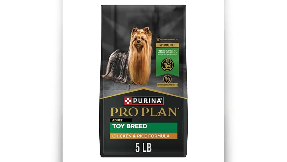 Best Dog Food for Maltipoo Adult