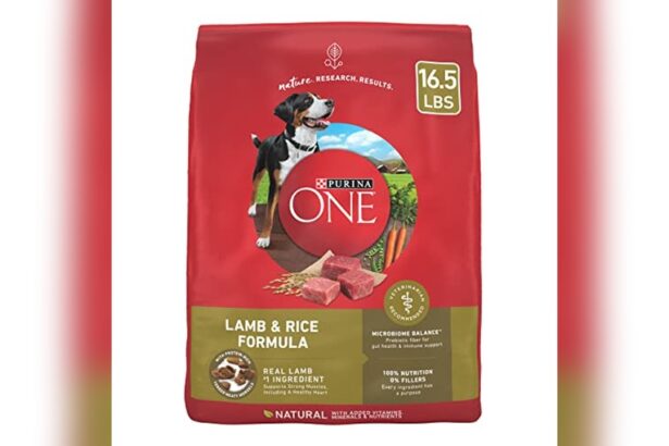 Best Dog Food for Newfoundlands