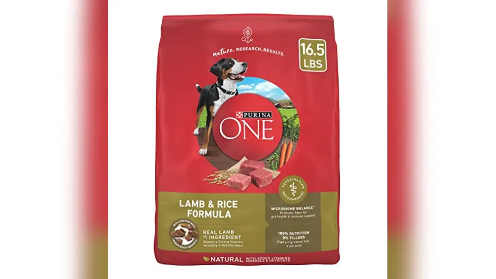 Best Dog Food for Newfoundlands