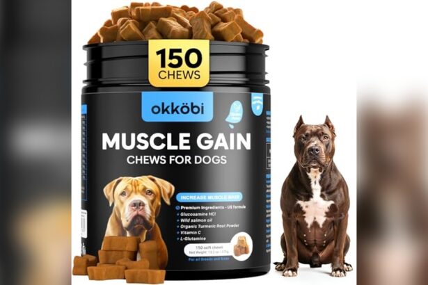 Best Dog Food for Pitbulls to Gain Muscle