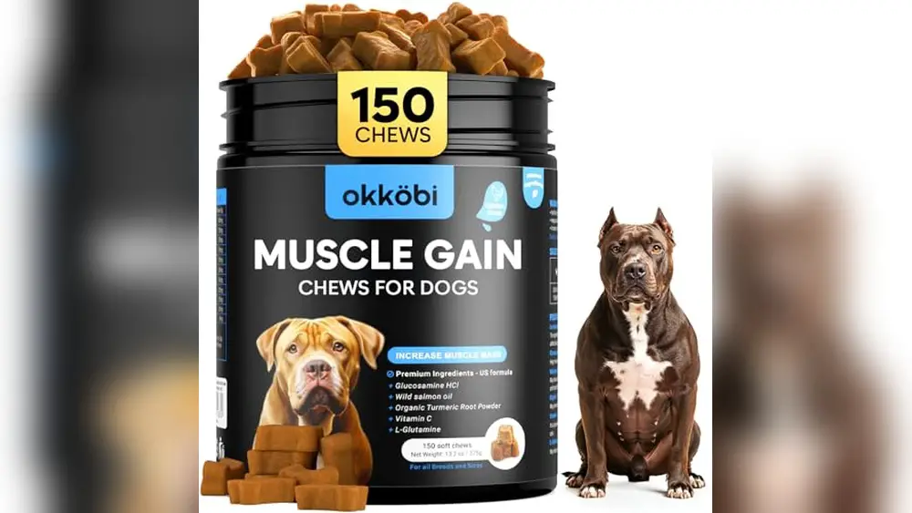 Best Dog Food for Pitbulls to Gain Muscle