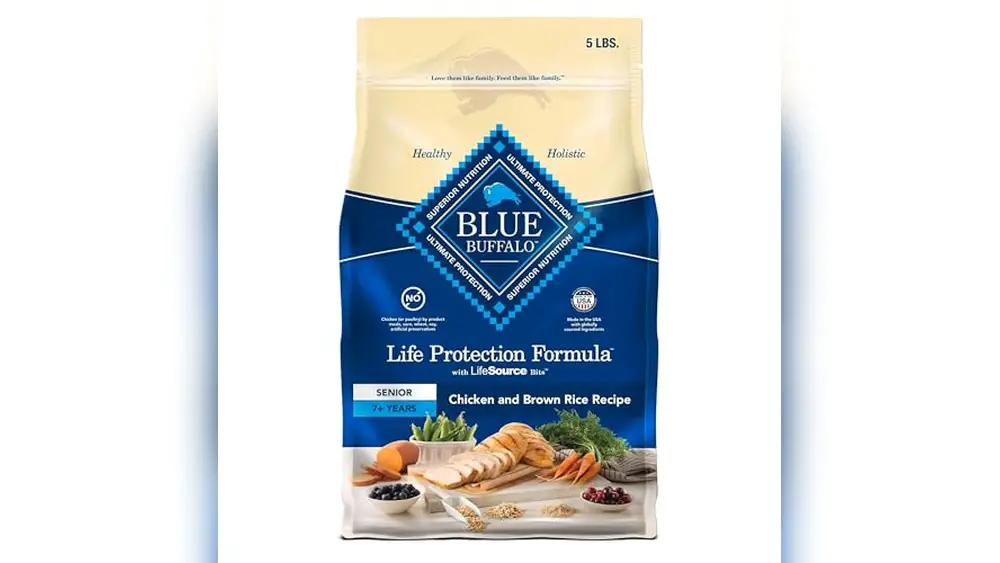 Best Dog Food for Senior Pitbulls