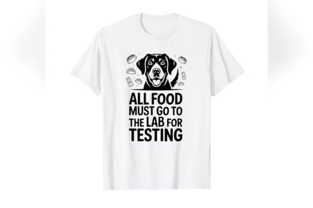 Best Dog Food for Silver Labs