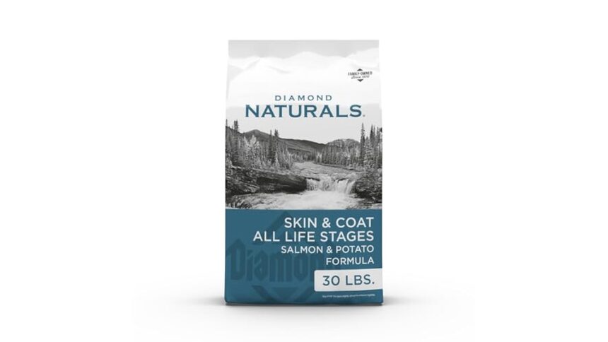 Best Dog Food for Skin Allergies