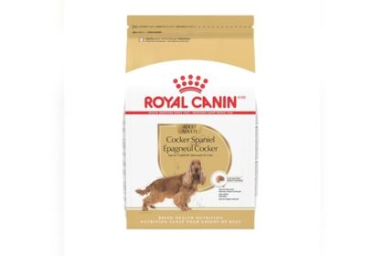 Best Dog Food for Springer Spaniels