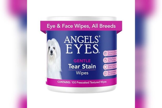 Best Dog Food for Tear Stains