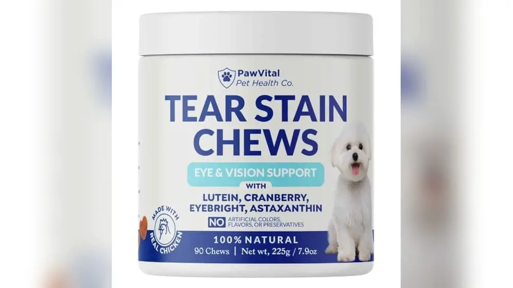 Best Dog Food to Prevent Tear Staining in Maltese