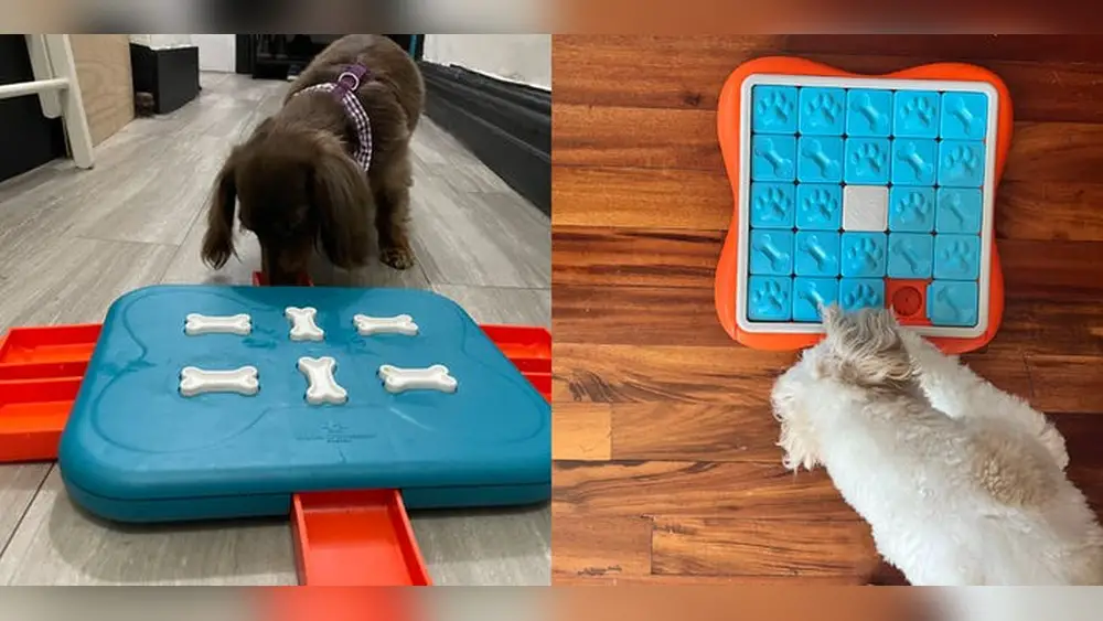 Best Dog Puzzle Toys for Mental Stimulation