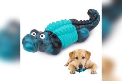 Best Dog Toys for Aggressive Chewers Indestructible