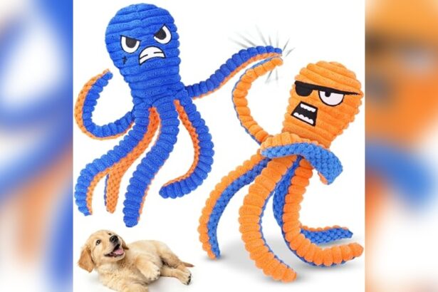 Best Dog Toys under $25 Durable