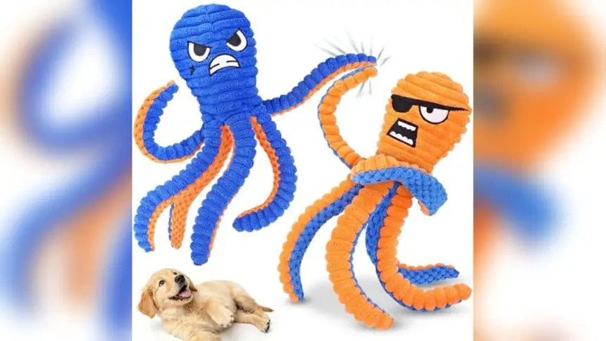 Best Dog Toys under $25 Durable