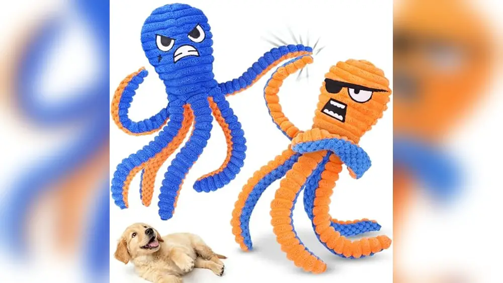Best Dog Toys under $25 Durable