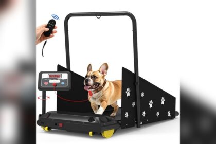 Best Dog Treadmill for Home Use