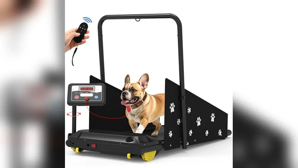 Best Dog Treadmill for Home Use