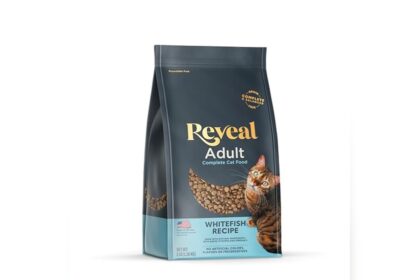 Best Dry Cat Food Grain Free