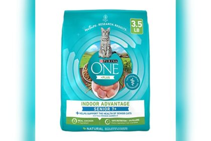 Best Dry Food for Older Cats