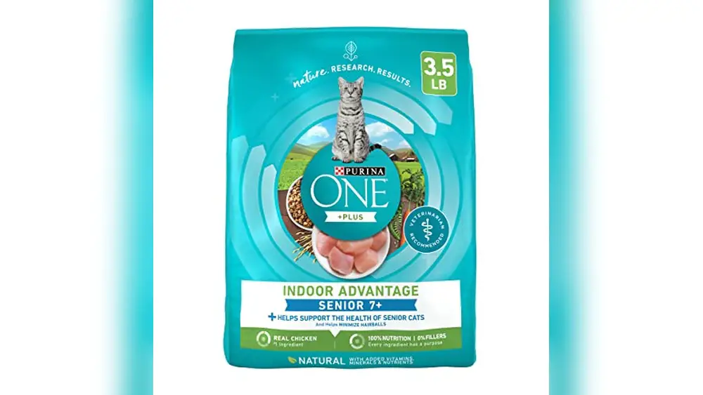 Best Dry Senior Cat Food
