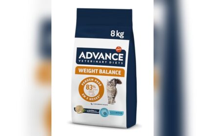 Best Food for Cats With Hyperthyroidism