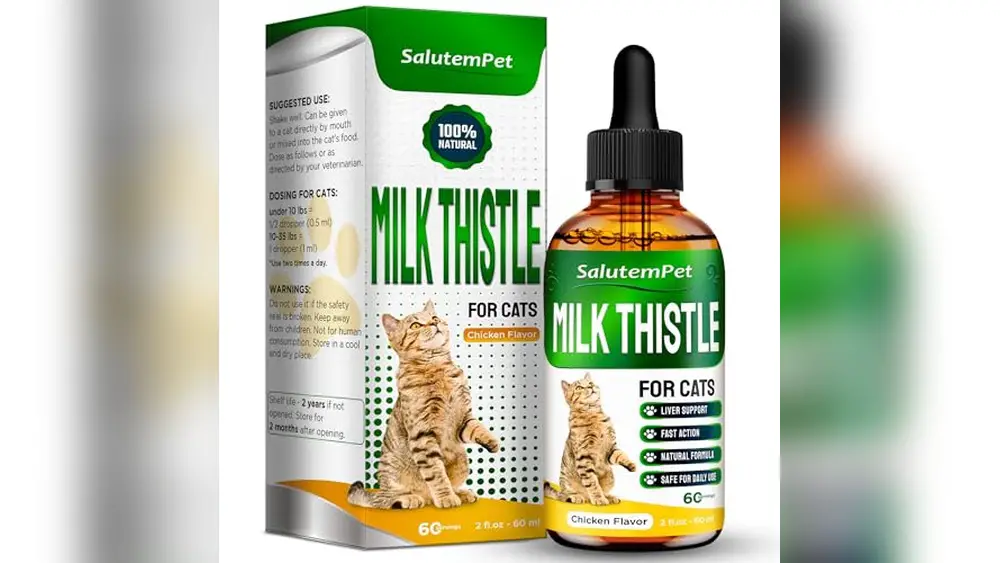 Best Food for Cats With Liver Disease