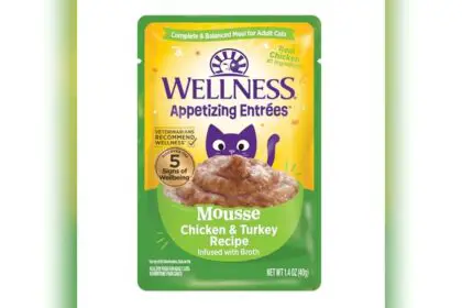 Best Food for Felv Cats