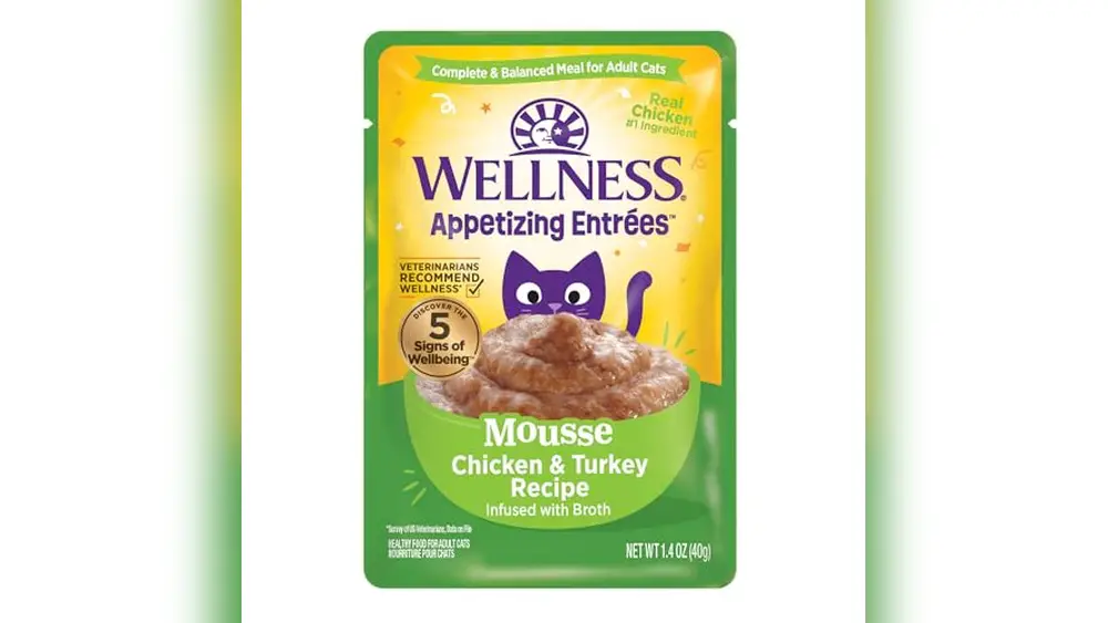 Best Food for Felv Cats