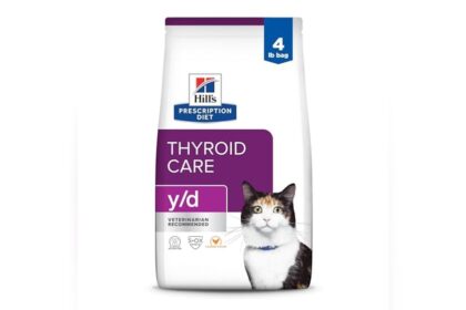 Best Food for Hyperthyroid Cat