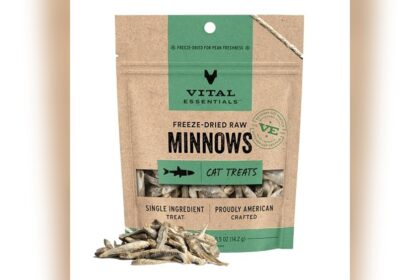 Best Food for Savannah Cats