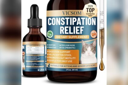 Best Food for Smelly Cat Poop