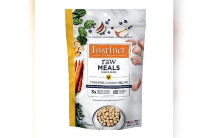 Best Freeze Dried Food for Cats
