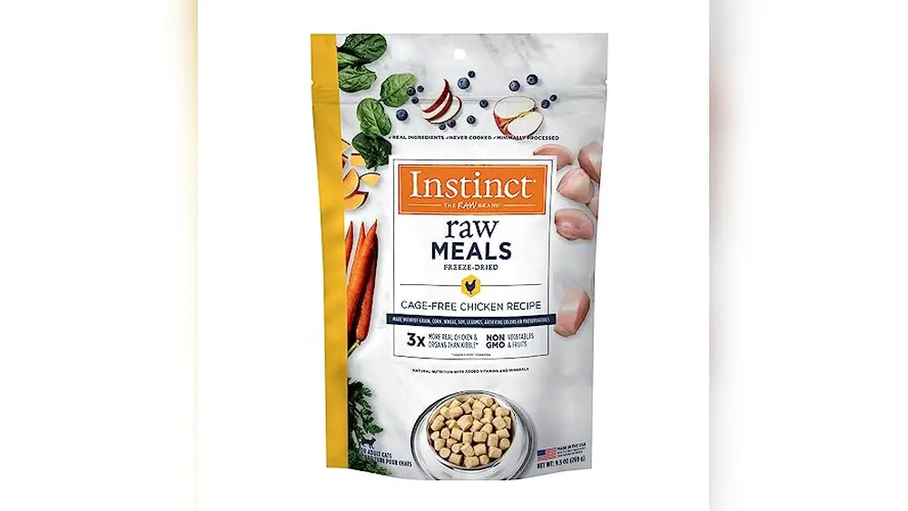 Best Freeze Dried Food for Cats