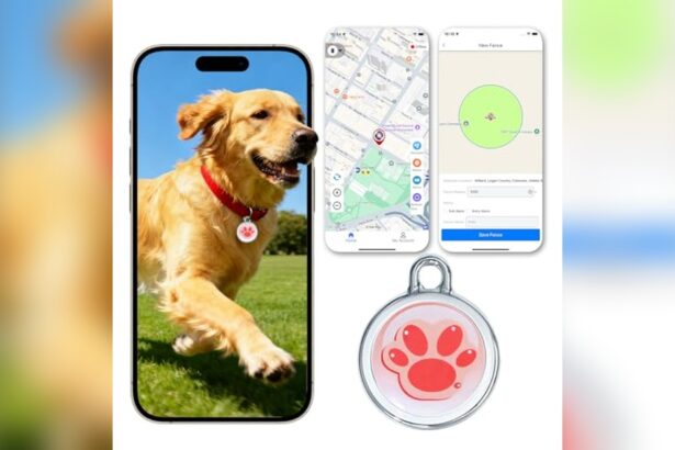Best Gps Tracker for Dogs Without Subscription