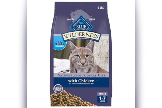 Best Grain Free Cat Food