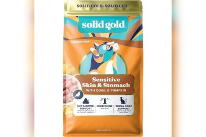 Best Grain Free Cat Food for Sensitive Stomachs