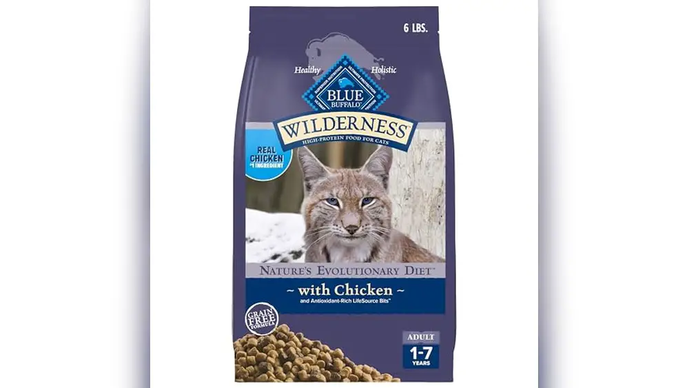 Best Grain Free Cat Food