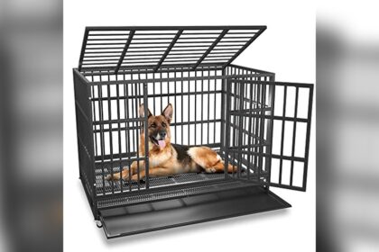 Best Heavy Duty Dog Crate for Escape Artists