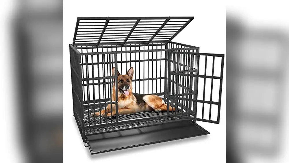 Best Heavy Duty Dog Crate for Escape Artists