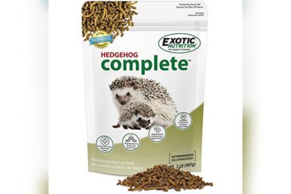 Best Hedgehog Cat Food