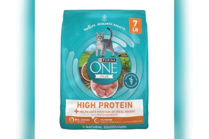 Best High Protein Cat Food