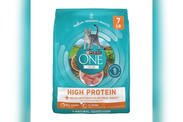 Best High Protein Cat Food