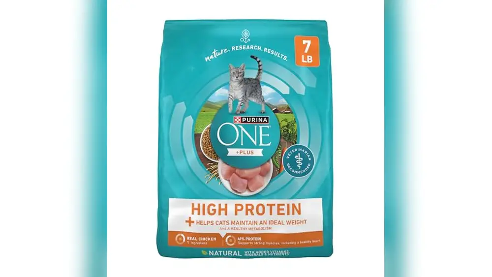 Best High Protein Cat Food