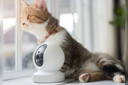best indoor cameras for pets