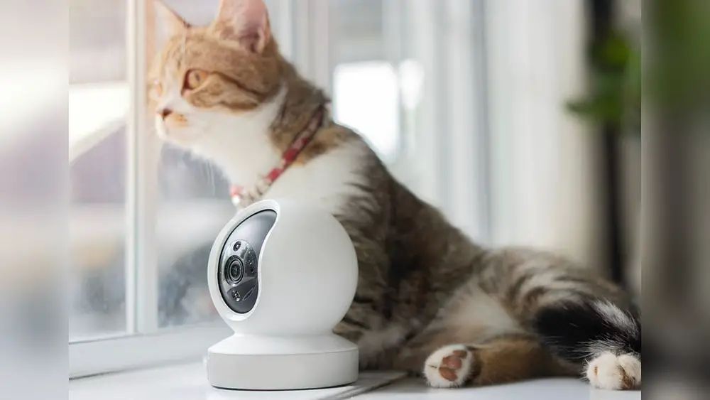 best indoor cameras for pets