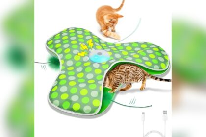 Best Interactive Cat Toys When Home Alone